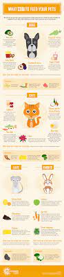 Do You Own A Pet Do You Know What Not To Feed Them Animal Infographic Healthy Pets Pets