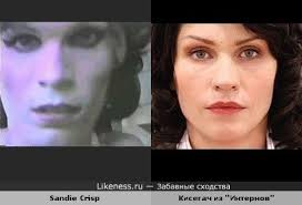 Sandie crisp (the goddess bunny) is running for mayor of inglewood! Kisegach Pohozha Na Frika Sandie Crisp Iz Rolika Goddess Bunny Zabavnye Shodstva