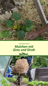 Pin Auf Gemuse Anbauen