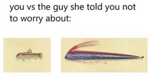 Pin By Dragon Uwu On Animal Crossing Animal Crossing Memes Animal Crossing Told You So