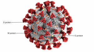 For the past week, lots of media was abuzz about the results of an in vitro study by australian researchers involving ivermectin, a drug used to treat parasitic infections. Cureus Ivermectin A Closer Look At A Potential Remedy