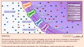 A cell membrane is a busy place. Cell Membrane Just Passing Through Science Classroom Resources Pbs Learning Media Biology Resources Teaching Biology Cell Membrane