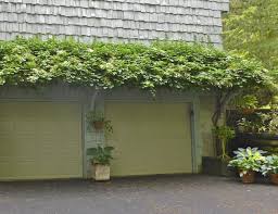 You take climbing hydrangea cutting the same way as other types of hydrangeas. Pin On Fir Pits Fireplaces Outdoor Kitchens