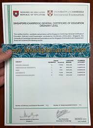 Mbbs in malaysia living expenses for indian students. Singapore Gce O Level Best Site To Get Fake Diplomas