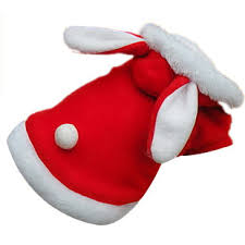 We did not find results for: Pet Rabbit Costume Dog Clothes Dog Clothes Turned Pink Dress Cute Winter Dog Clothing Rabbit Costume Pet Rabbit Costumes Winter Dogs Clothingdog Clothing Aliexpress