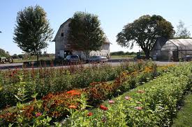 You can upload your own images, resize them, move them, preview your design and checkout. Where Can I Pick My Own Flowers Near Me