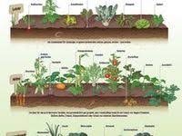 9 Mythen Uber Den Naturnahen Bio Schwimmteich Im Garten Schwimmteich Schwimmbad Designs Naturschwimmbad