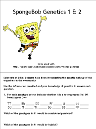 If you want to download the image of genetics worksheet answer key or spongebob genetics worksheet answers kidz activities, simply right click the image and choose save as. Spongebobgenetics Dominance Genetics Genotype