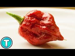 Pin On Hot Peppers