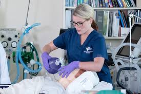 Respiratory Therapist Resume Sample Career Illuminate