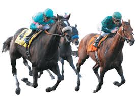 Chevaux de course PNG transparents - StickPNG