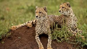 Kafue National Park