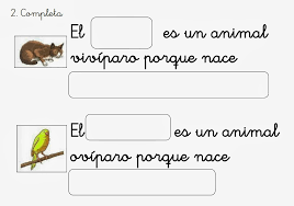 Manualidades De Animales Oviparos Novocom Top