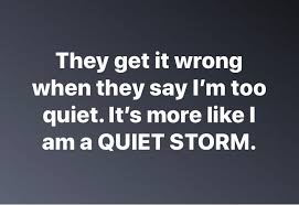 Pin By Lauren Somma On Sayings Quiet Storm Sayings How To Get