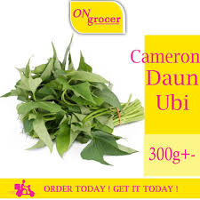 Check spelling or type a new query. Daun Ubi 300g Shopee Malaysia