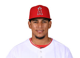 Resultado de imagen para jose briceÃ±o beisbol