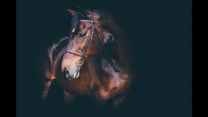 Free cliparts that you can download to you computer and use in your designs. Graduation Studio Background Hd