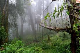 Offbeat North Bengal: Hidden Gems ...