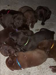 erasmo vergara (@erasmovergara)