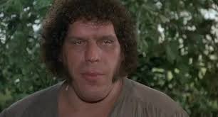 Maybe you would like to learn more about one of these? In The Princess Bride 1987 Miracle Max Replies To Fezzik You Are The Brute Squad This Is A Mistake As Fezzik Is Played By Andre The Giant Who Is Only One Person