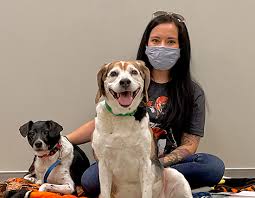 Your puppy is waiting for you! Cleveland Pet Guide A List Of Northeast Ohio Animal Shelters