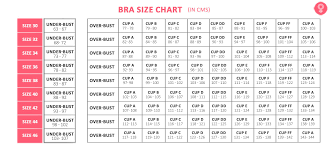 Bra Size Calculator In Cm How To Measure Bra Size Chart In 2020 Bra Size Charts Bra Size Calculator Measure Bra Size