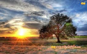 Friends, all of you want to edit your photo, so today i have brought you the 100+ cb editing background image hd. Nature Full Hd Editing Background Wallpaper