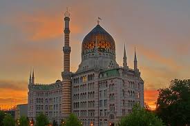 Pin Auf Arabian Horses Vibrant Colors