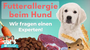 Futtermilben Erkennen Und Verhindern So Geht S