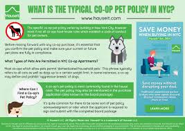 From hamsters, gerbils, mice and more, we'll help you find the perfect little friend to welcome into your home. What Is The Typical Co Op Pet Policy In Nyc Hauseit