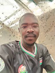 I want to learn BSF production how do I start?