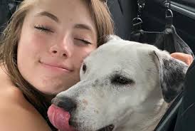 Pretty sure Maci found the right home in Massachusetts with this amazing  family who made her a member of their family. She even goes