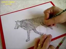 Zeichnen Lernen Fur Anfanger Tiere Malen Wie Zeichnet Malt Man Einen Wolf Youtube