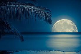 Download and use 20,000+ full moon stock photos for free. Beautiful Full Moon Reflected On The Calm Water Of A Tropical Beach Toned In Blue Photographic Print Kamira Art Com