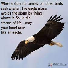 Photo May You Soar Like An Eagle Today Partnership With Native Americans Google Native Proverb Indian Quotes American Indian Quotes Eagles Quotes