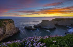 On average, your last spring frost occurs on march 1 (at santa cruz, ca climate station). Wallpaper Landscape Sunset Flowers Nature The Ocean Rocks Ca Usa Santa Cruz Images For Desktop Section Pejzazhi Download