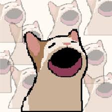 Tài khoản discord đã verify số điện thoại và hotmail trusted