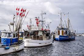 Burgstaaken Und Seine Fischer Meerart Fehmarn Ostsee Urlaub