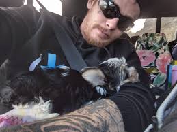 Bringing a 1200-mile teddy bear to Chester