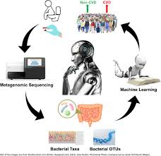The first edition of the novel was published in december 12th 2016, and was written by emily barr. Machine Learning Strategy For Gut Microbiome Based Diagnostic Screening Of Cardiovascular Disease Hypertension