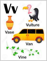 Gre | list of words to enhance your vocabulary with alphabet 'v'. Nette Und Bunte Alphabet Buchstaben V Mit Satz Von Abbildungen Und Worter Bedruckbare Blatt Lizenzfrei Nutzbare Vektorgrafiken Clip Arts Illustrationen Image 38526529