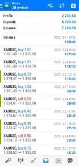Forex Profit Forextrading Securities And Exchange Commission Financial Advisors