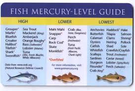 Fish Mercury Levels In 2019 Mercury In Fish Healthy Food