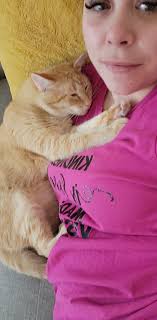 Please could people share be much appreciated We just want her home now  this is really not like her. She is chipped also if anyone does come across  her.