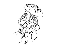 With this easy jellyfish drawing ideas, you can learn how to draw a jellyfish easily. How To Draw A Jellyfish Step By Step Easy Animals 2 Draw