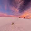 589.9 km2) in the tularosa basin, including the southern 41% of a 275 sq mi (710 km2). 1