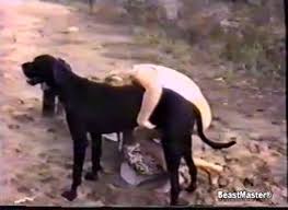 dog danish pet 2 free zoo sex zoo sex video animal sex videos animals porn zoosex all animal porn zoo porn dog sex zoophilia