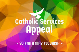 A color chart showing the various colors used in the sanctuary for the seasons of the christian church year, as well as the dates for the current year. Catholic Services Appeal 2021 Underway In Parishes Diocese Of Grand Rapids