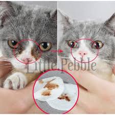 Over 100,000 english translations of portuguese words and phrases. Jual Aloe Dog Cat Eye Wipes Penghapus Kotoran Mata Kucing Anjing Isi Jakarta Barat Koleksial Laris Tokopedia