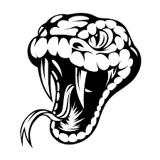 Resultat De Recherche D Images Pour Viper Snake Head Drawing Tribal Drawings Lion Head Tattoos Viper Snake